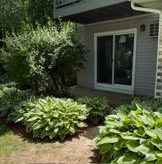 Private Garden Patio