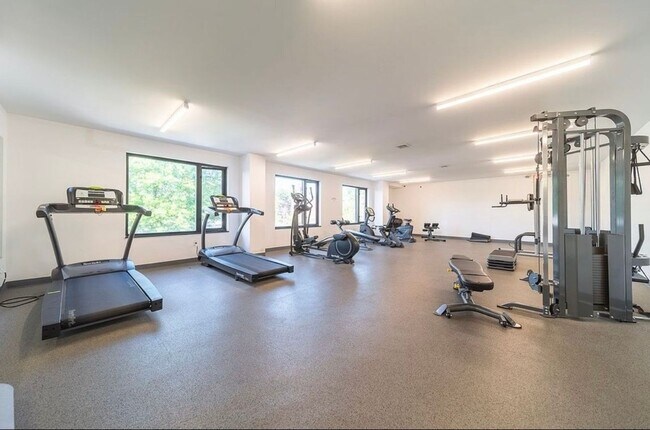 Photo - Charming 1BR Condo in Rego Park