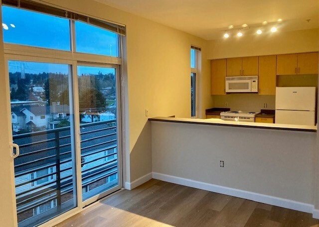 Kitchen and Juliet Balcony - Peninsula Apartments