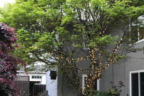 Patio al atardecer - 111 Elm St