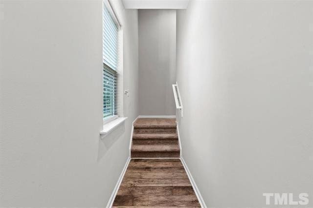 Photo - 2223 Chattering Lory Ln