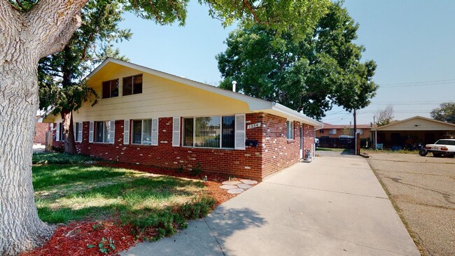 2 bd 1ba duplex in Longmont! - 2 bd 1ba duplex in Longmont! Casa