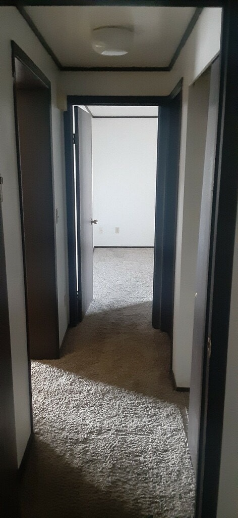407 Sage Hills St Unit D