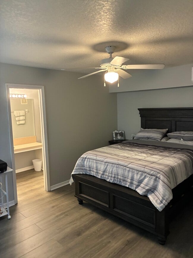 Photo - 2816 Fan Palm Dr