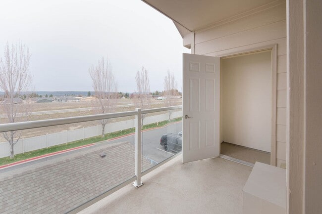 Bravata - The Lusitano