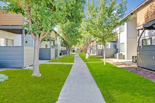 Walking Paths