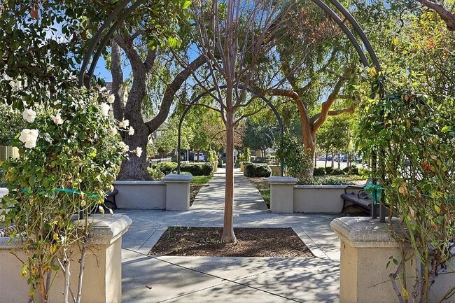 40203 Antigua Rose Terrace