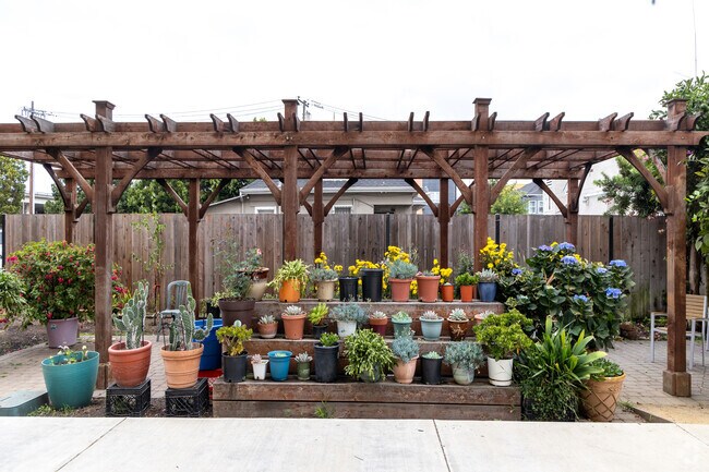 Building Outdoor Garden
