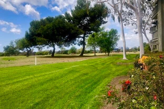 Photo - 5 Las Brisas