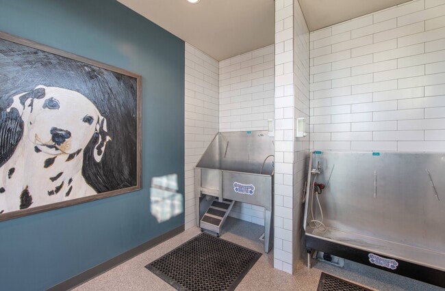 Paw Spa Pet Wash