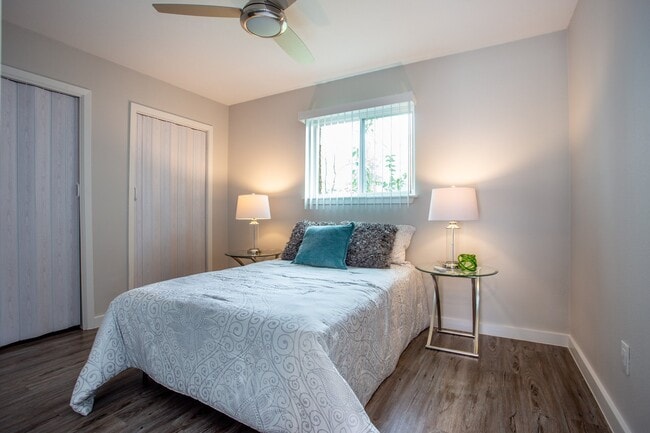 Photo - Sunset Palms