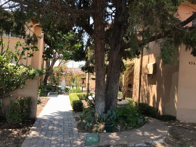 Photo - First Floor Room in an old convent--Females only Unit Room 2