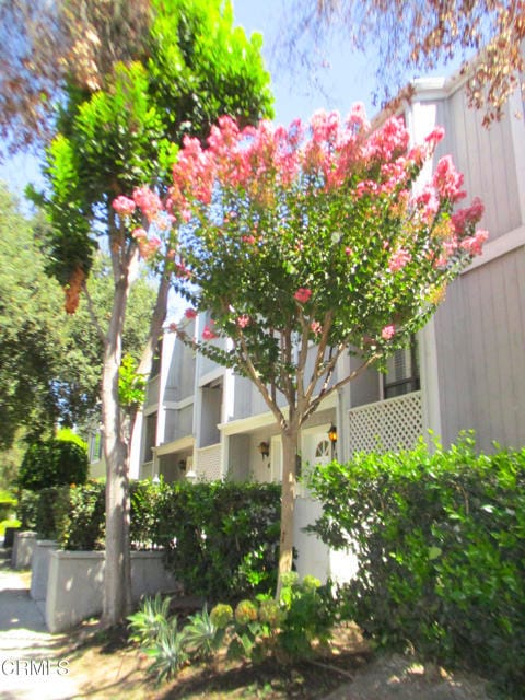Photo - 965 E Del Mar Blvd