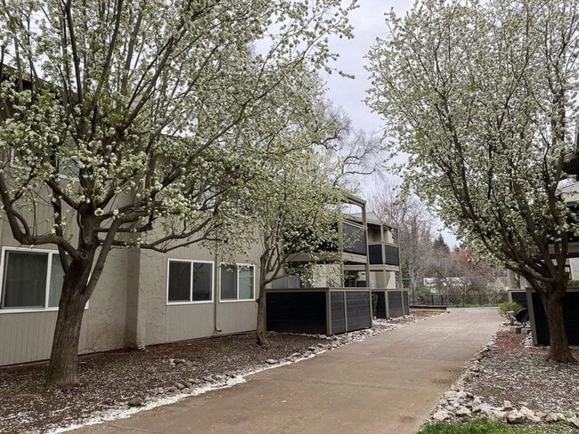 Building Photo - Menlo Pointe Rental