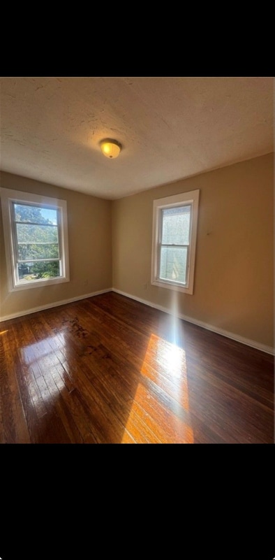 Photo - 42 Curtis St