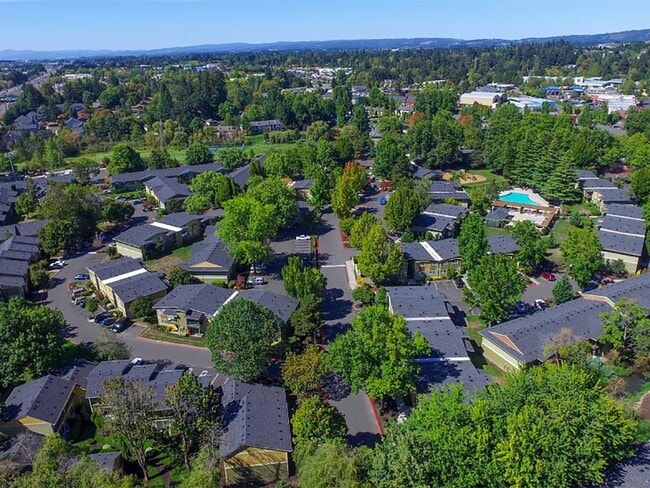 Commons at Timber Creek Apartments