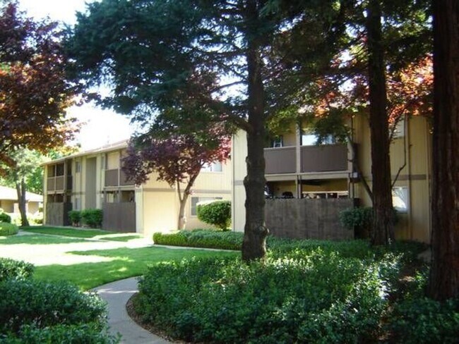 The Place Apartments