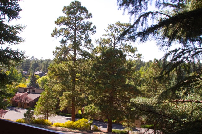 2605 N Pinon Ridge Dr Unit 573