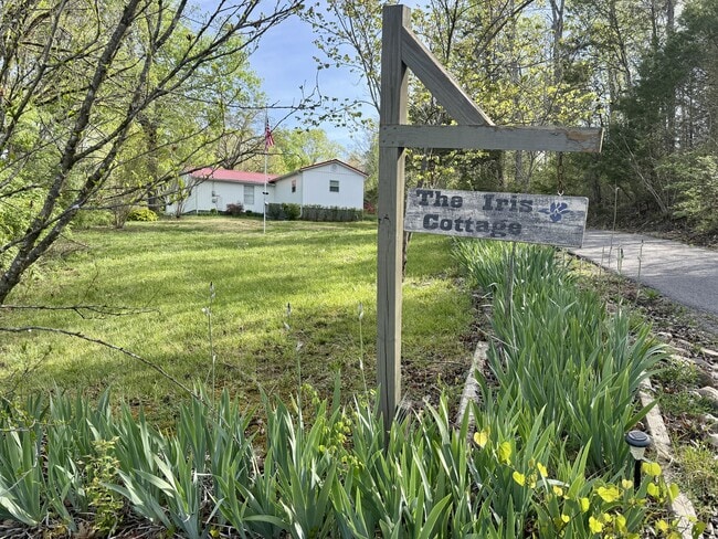 Photo - 740 Finn Long Rd