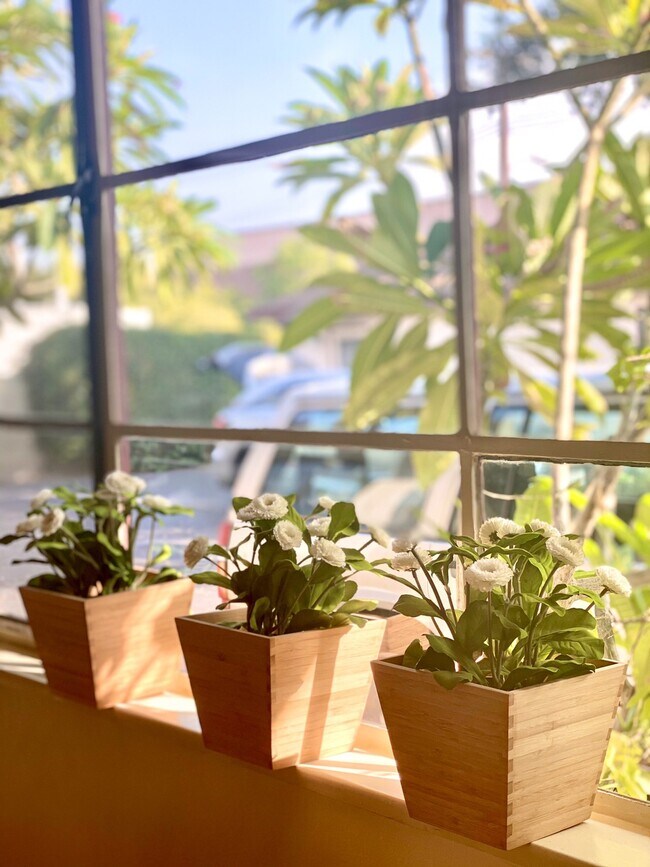 Livingroom view - 2557 Nina St