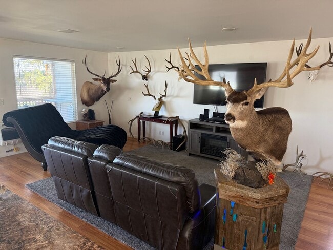 Photo - Beautifully updated duplex with parking and a storage shed Unit B