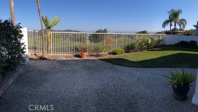 Photo - 33 Hollyleaf