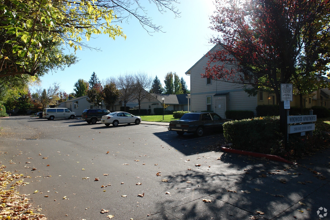 Windwood Apartments - Windwood Apartments