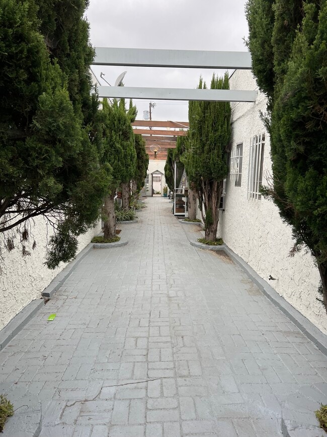 Photo - 819 Alta Vista N Blvd Unit 8