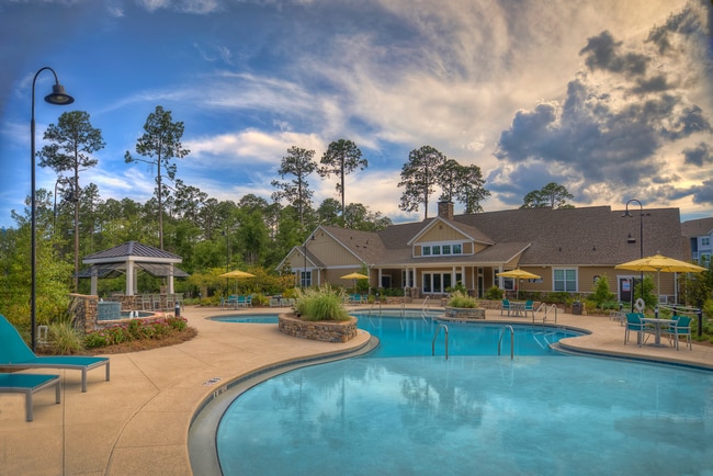 Resort-style swimming pool and clubhouse - Lullwater at Blair Stone Apartments