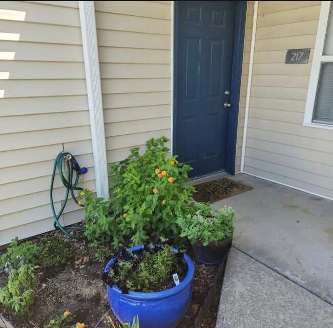 Photo - Wedgewood Arms Apartments