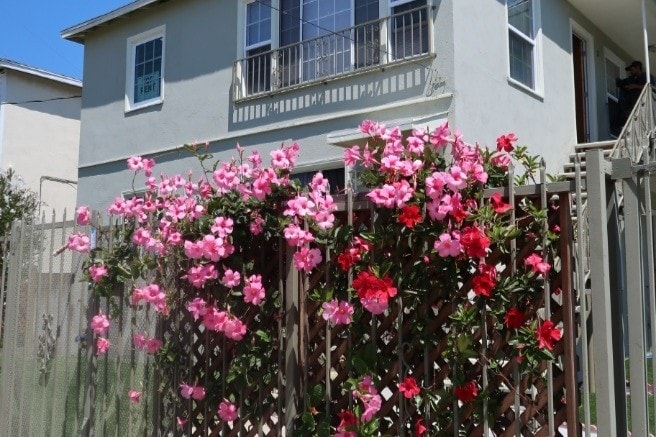 Photo - 536 N Van Ness Ave Unit #2