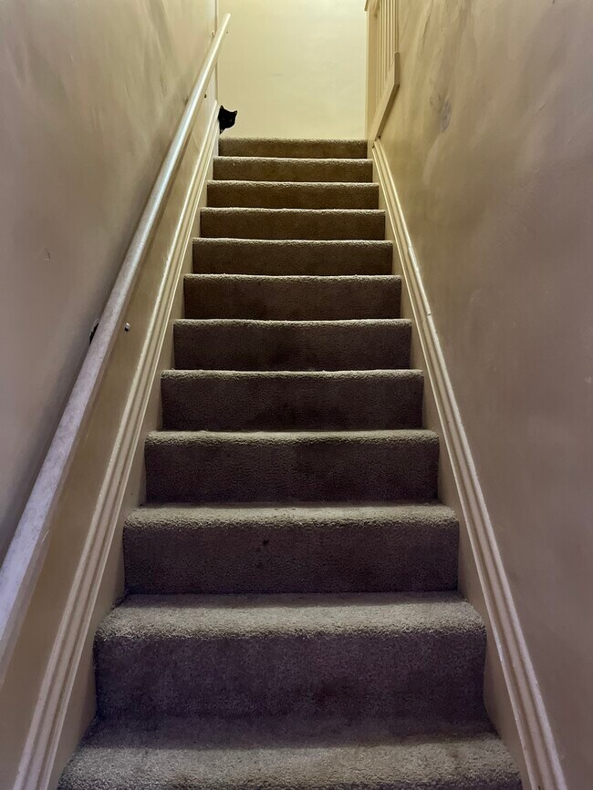 241 Tioga St Rental For Rent in Johnstown, PA