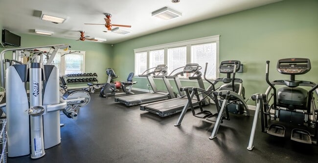 Photo - Acacia at Santa Rosa Creek