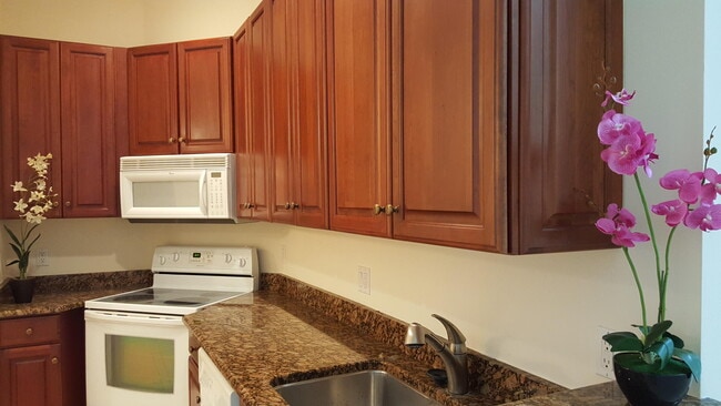 Photo - 1825 Bridgepointe Cir