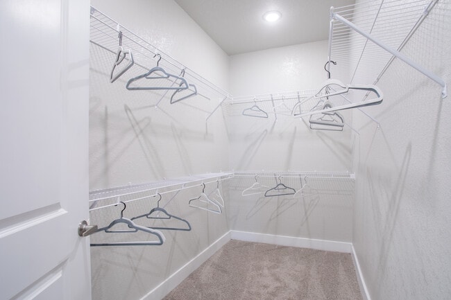 Photo - Ariza Research