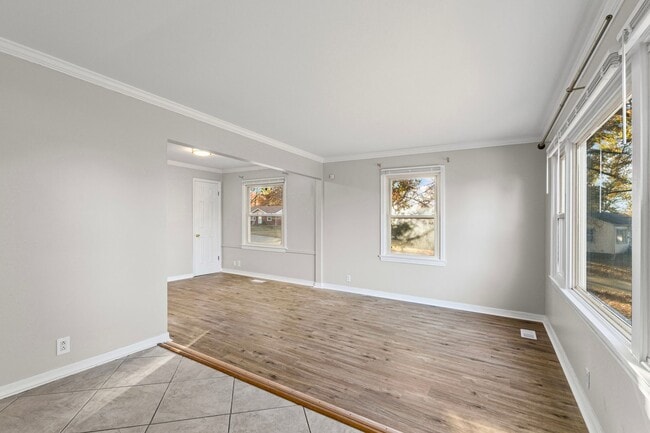 Photo - Sweet on Nectar