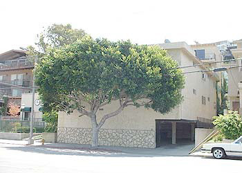 Front of building - 342 Culver Blvd Rental