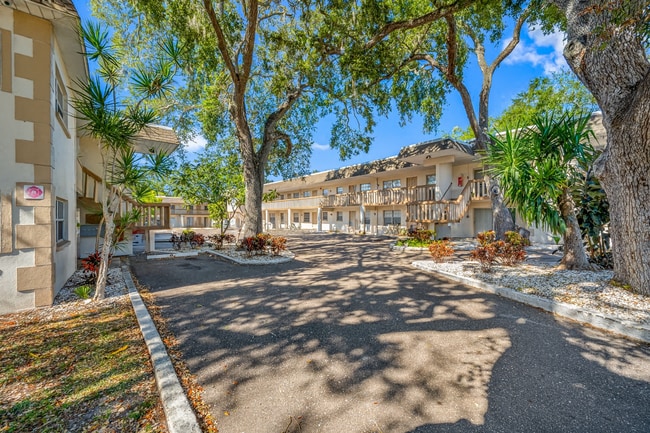 Photo - Breezy Palms