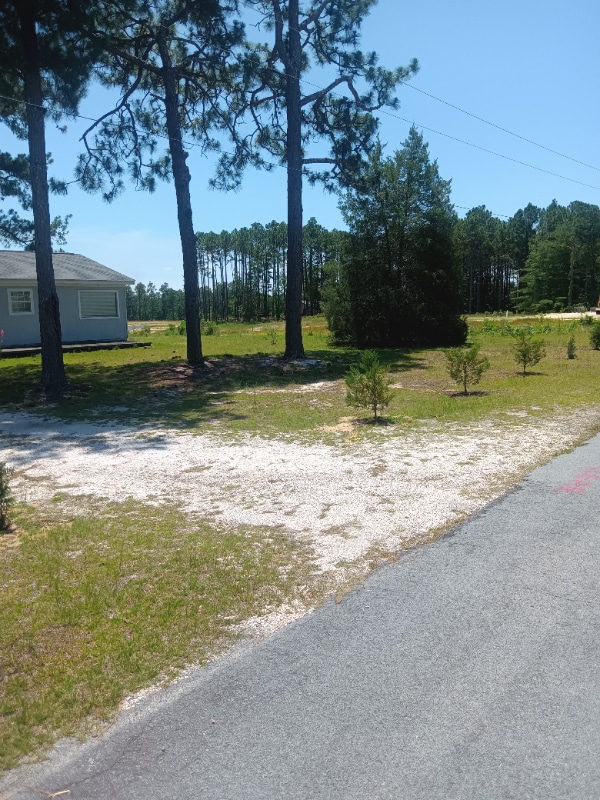 Photo - 255 Rowe Ave