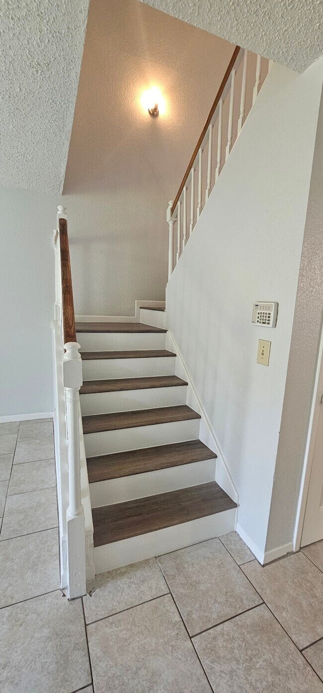 4419 Treasure Trail