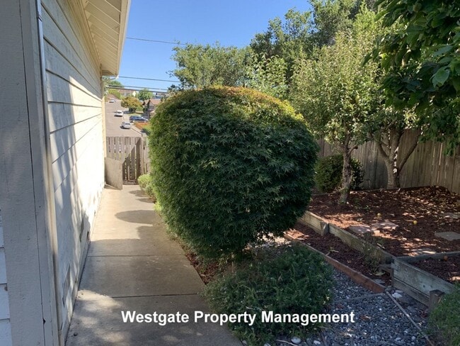 Photo - 1160 Birch Dr