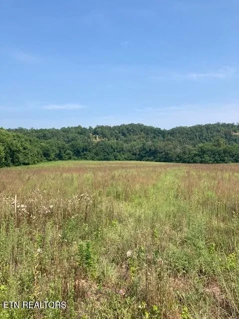 Photo - 559 Snowflower Cir