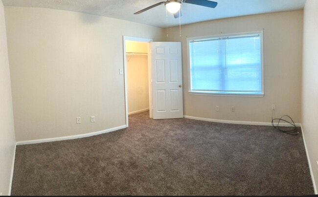 Building Photo - 1045 6th St Rental