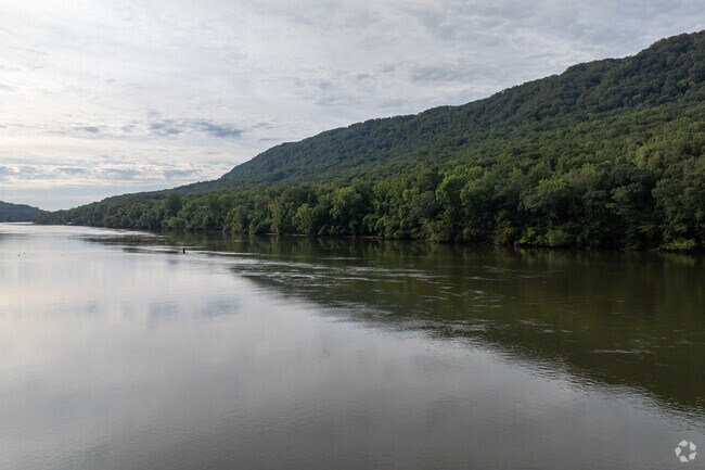 Photo - River Canyon