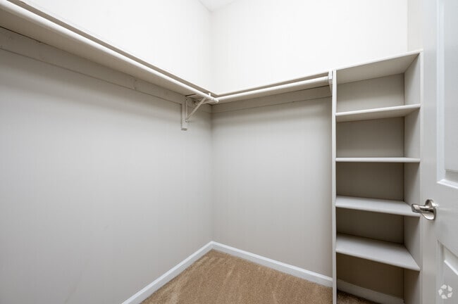 2BR, 2BA - 1,000SF - Primary Closet