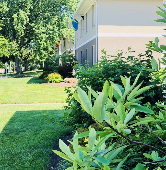 Grounds