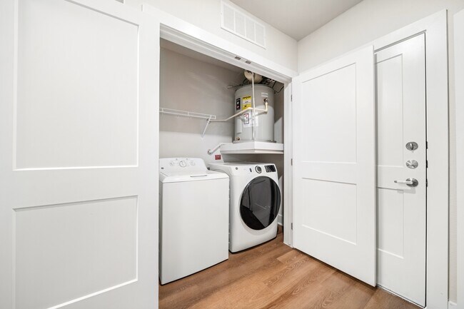 DSC05627 - Noble 2500