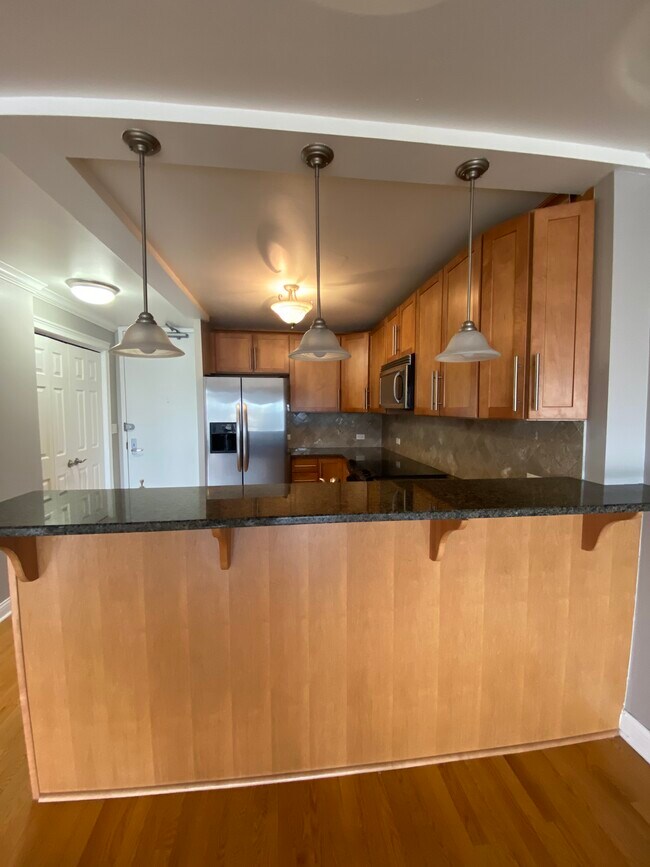 Photo - 2020 N Lincoln Park W Unit 17C