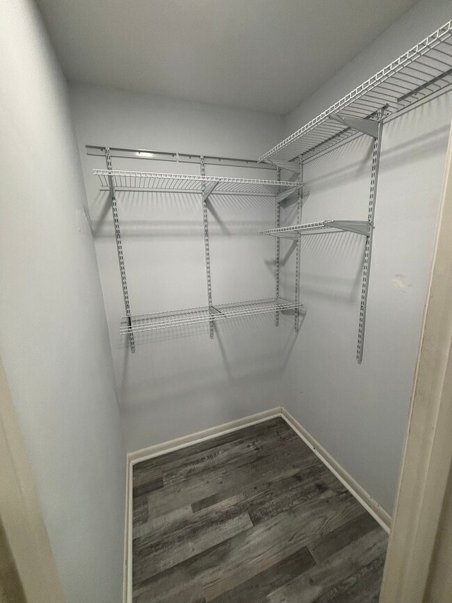 Basement Bedroom 1 Closet - 596 Wild Flower Glade