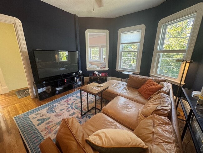 Photo - 145 Albion St